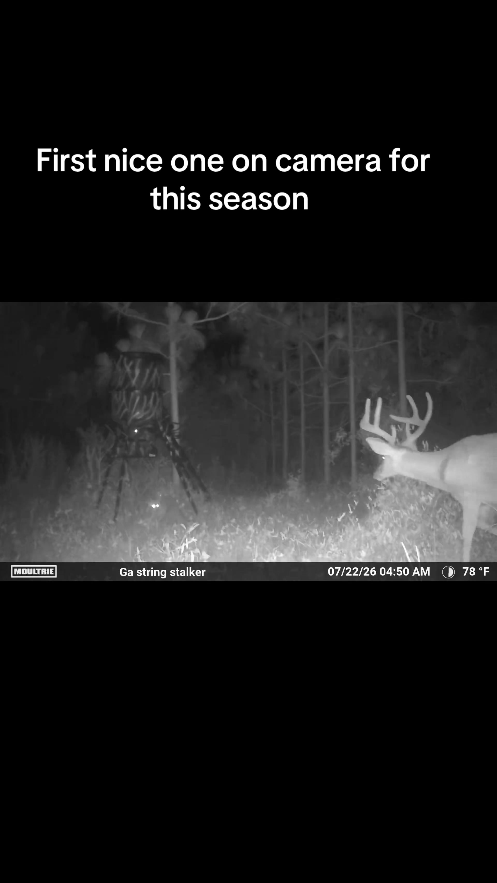 @GEORGIA STRING STALKER
