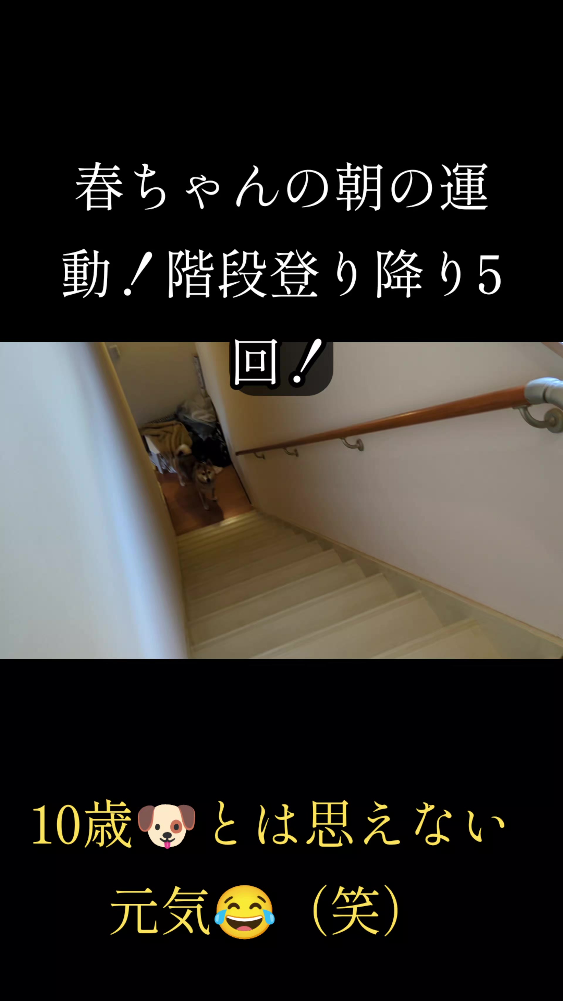@平作(春太One)