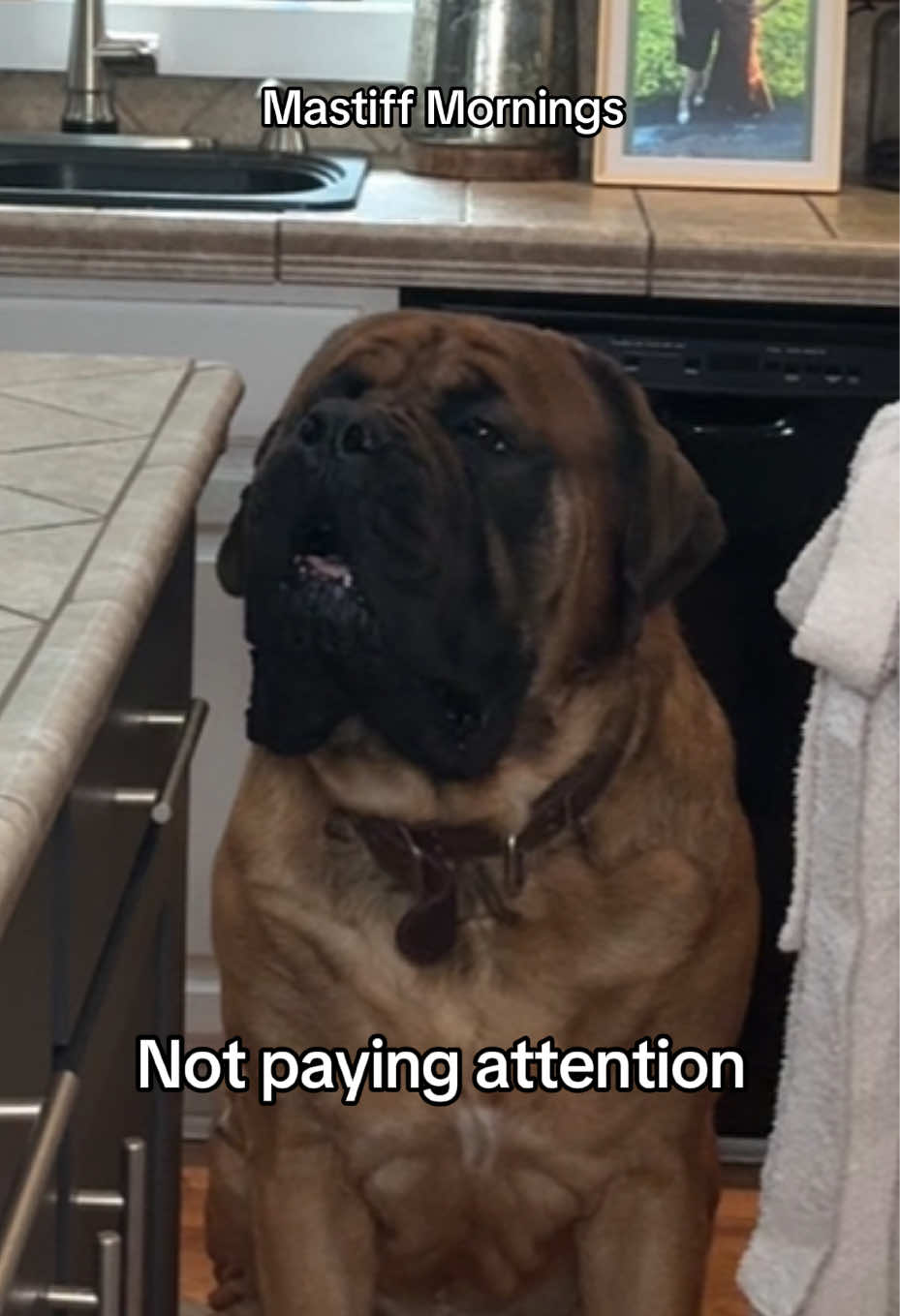 @Amy