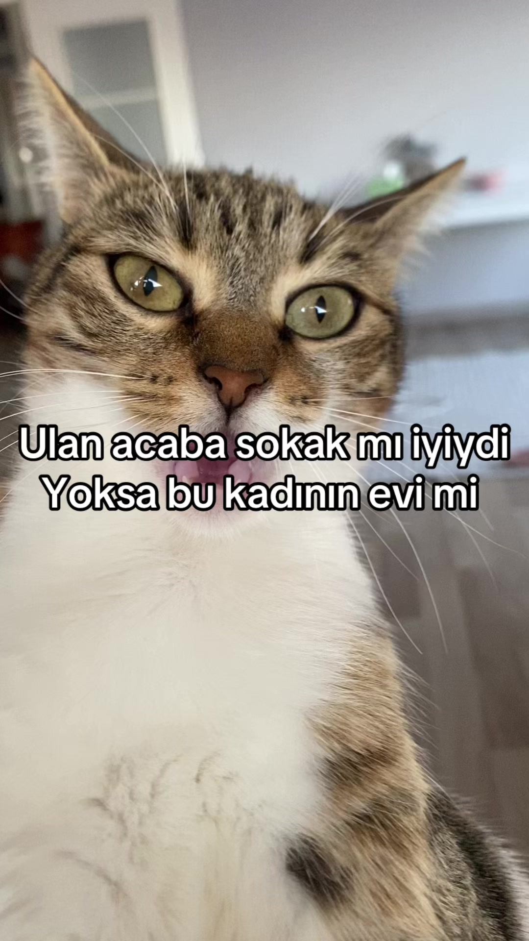 @yudummz_