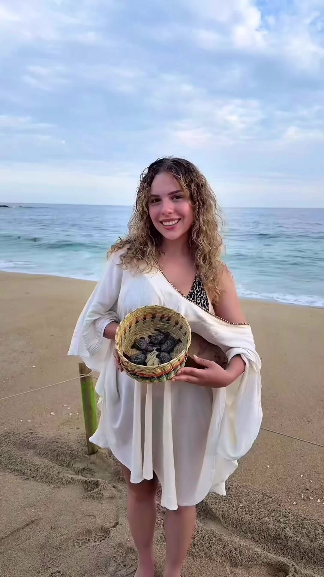 @luisainfocus