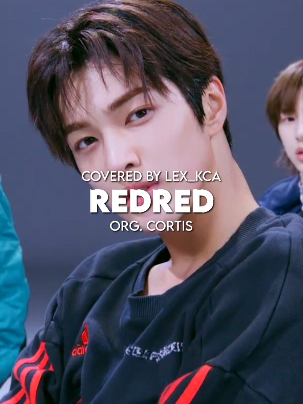 @Lex | 렉스