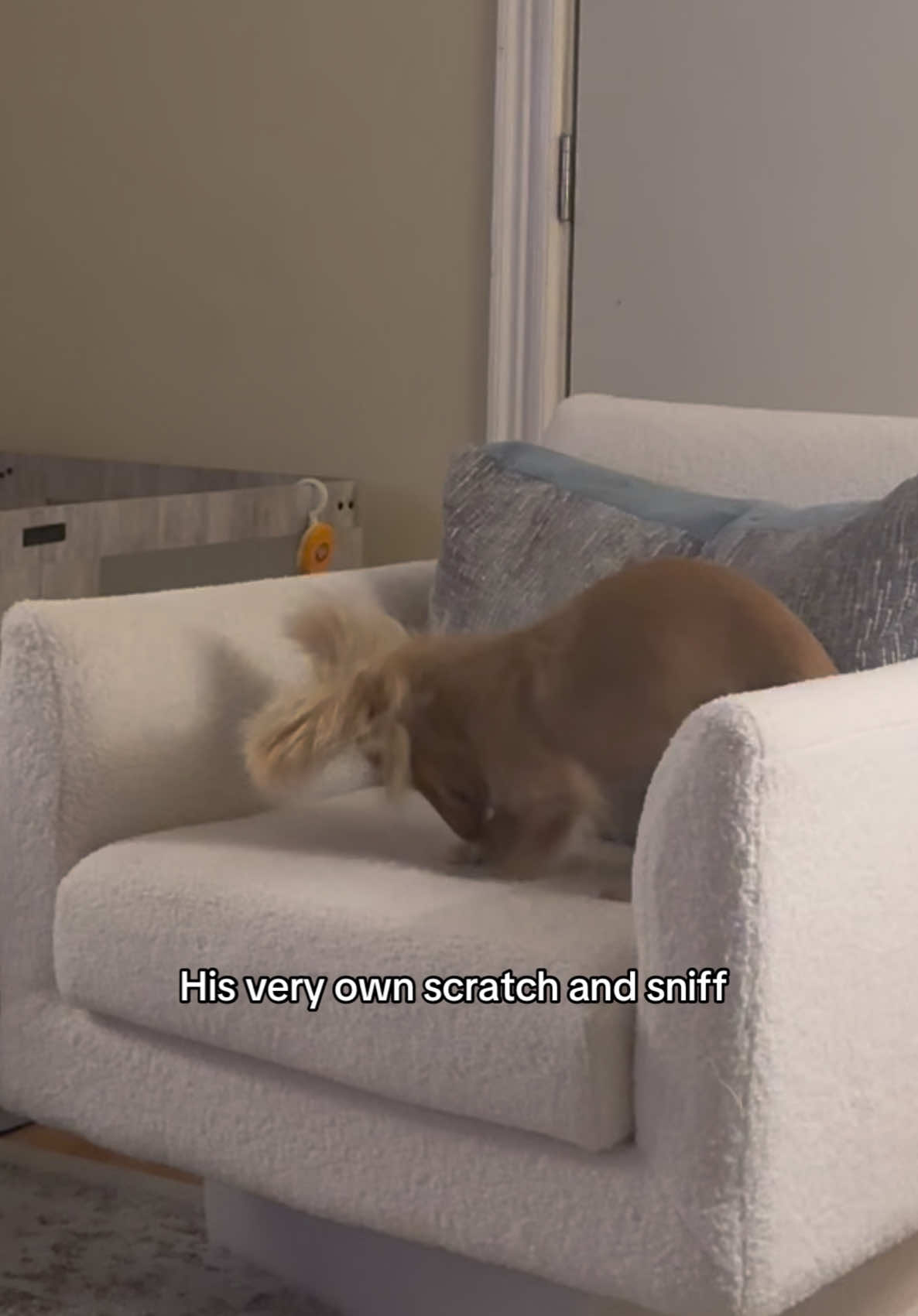 @Cashew