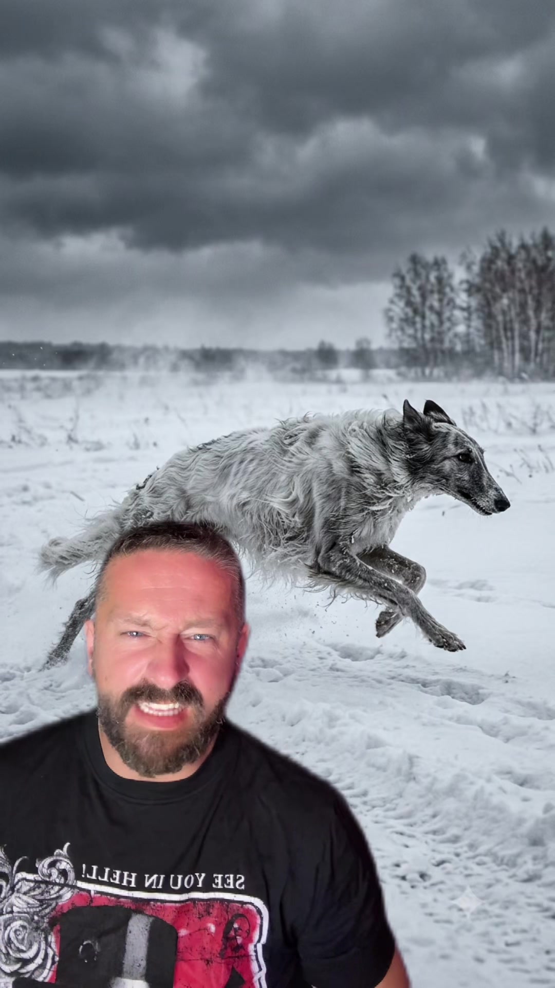 @Golden Wolf