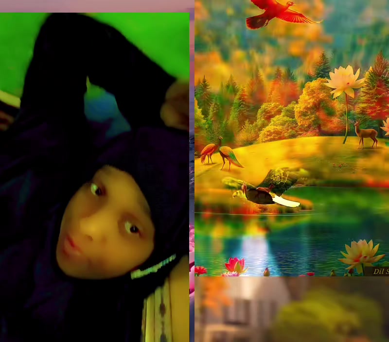 @ani anuma