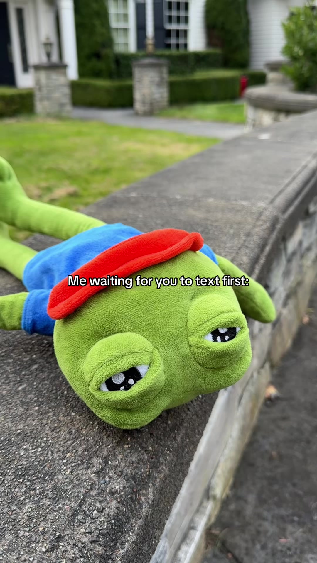 @Sad Frog Pepe 🐸