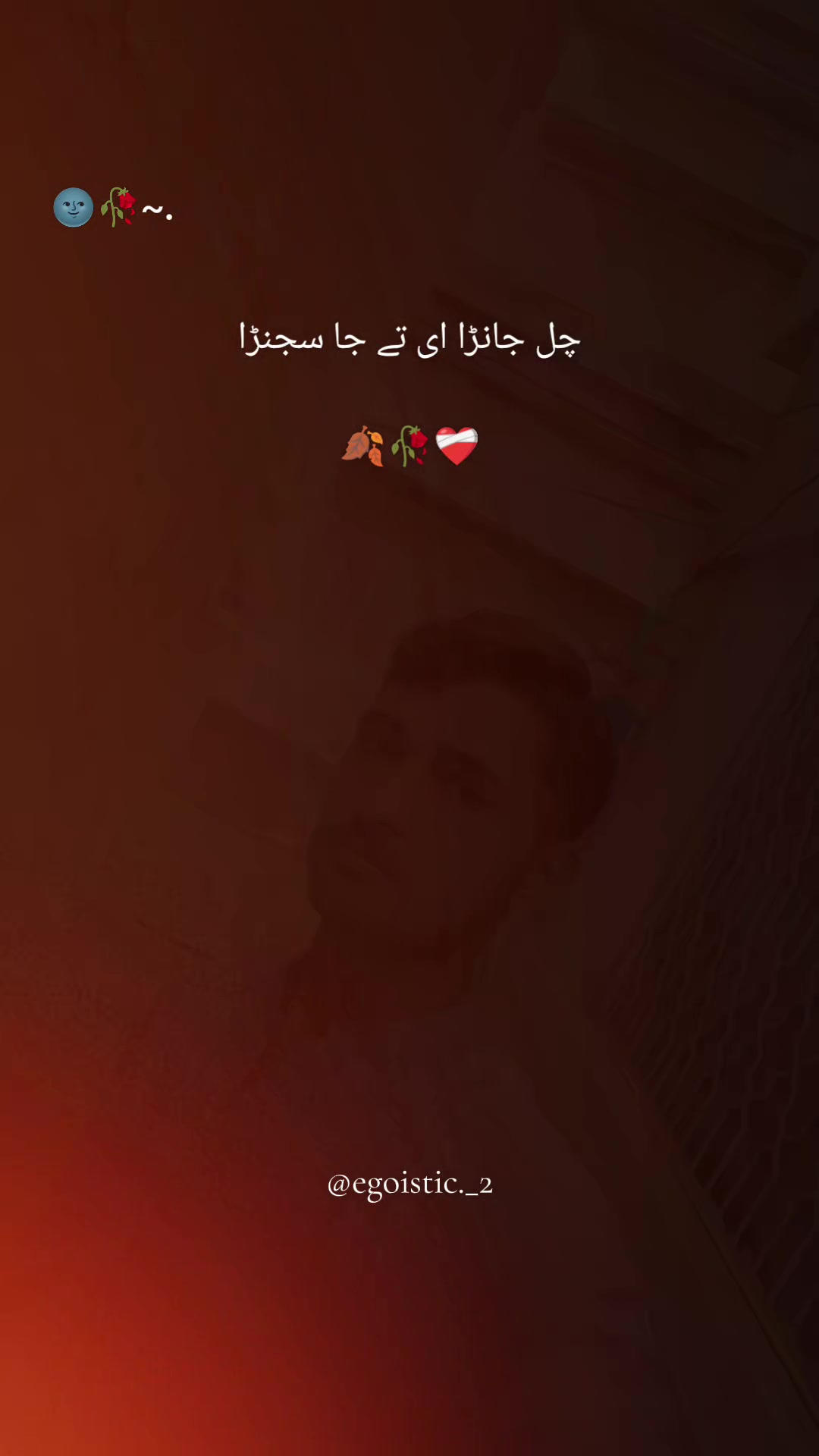 @irfan ali