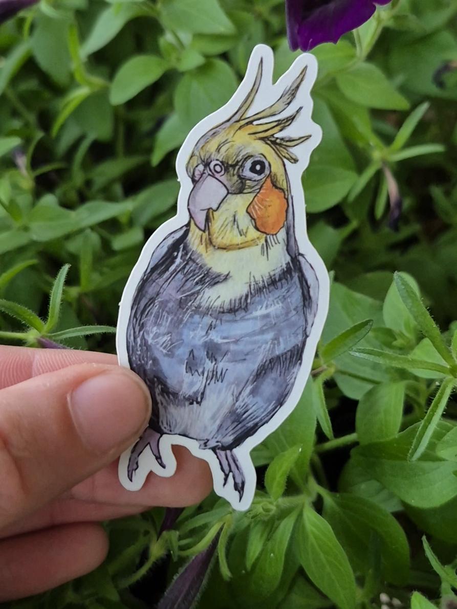 @Organic Illustrations