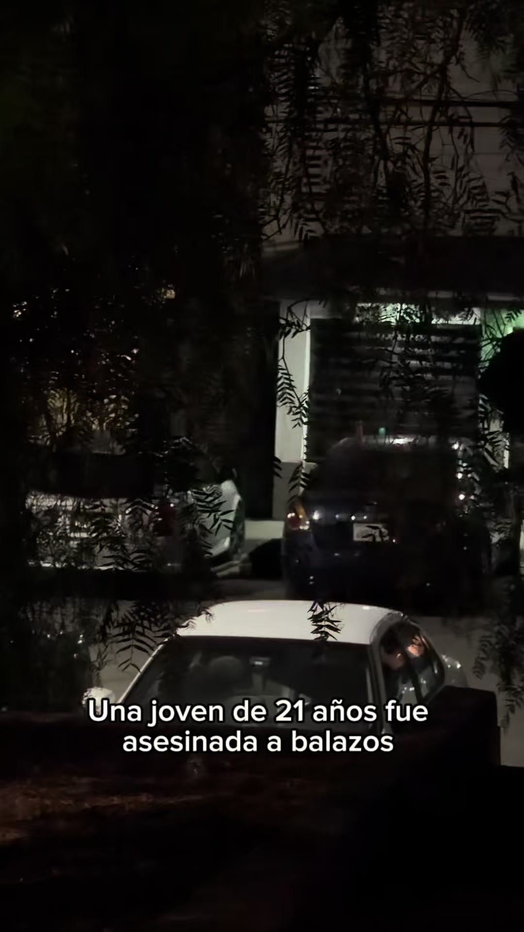 @El Caballero de la Noche