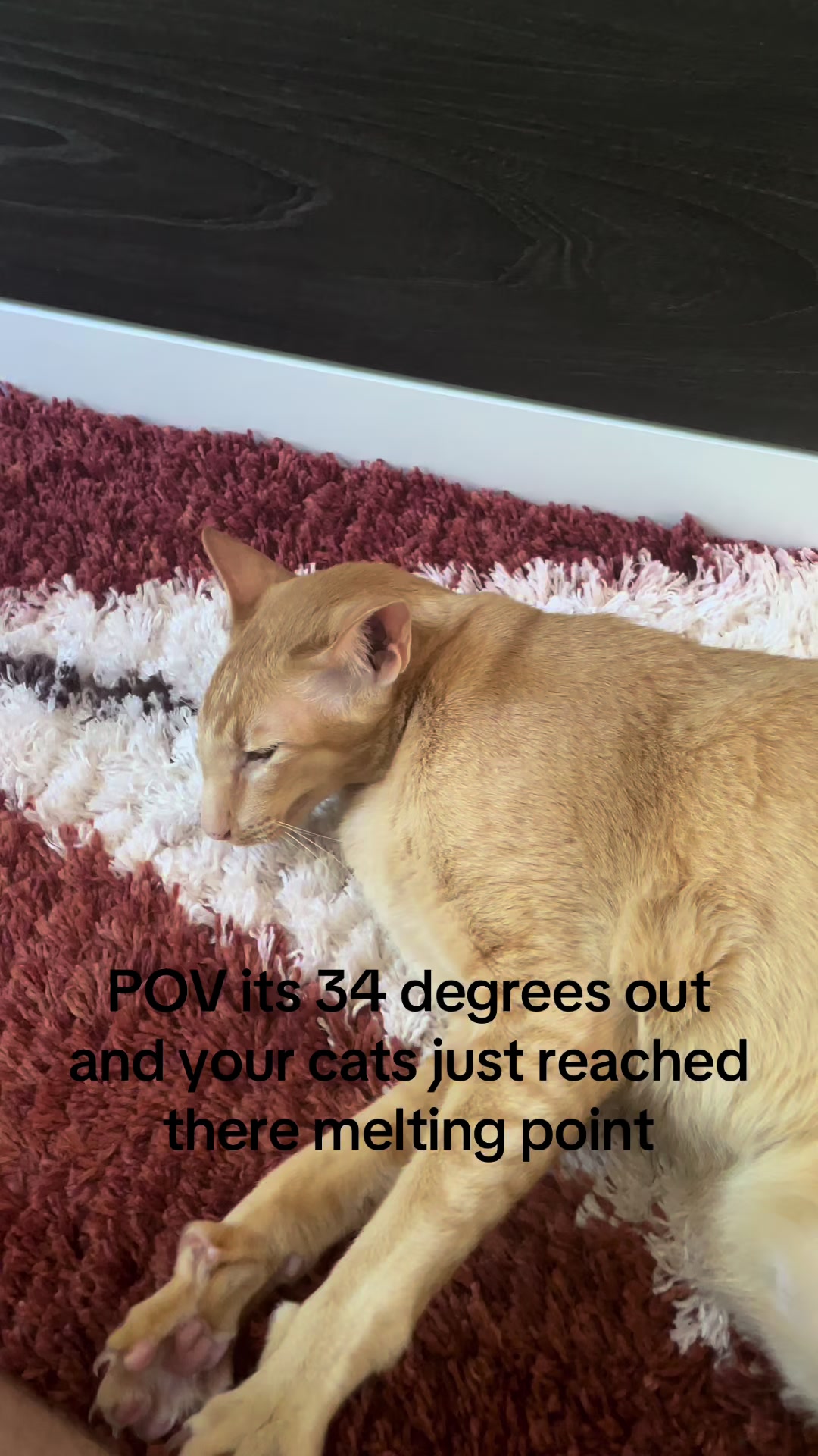 @Everytis