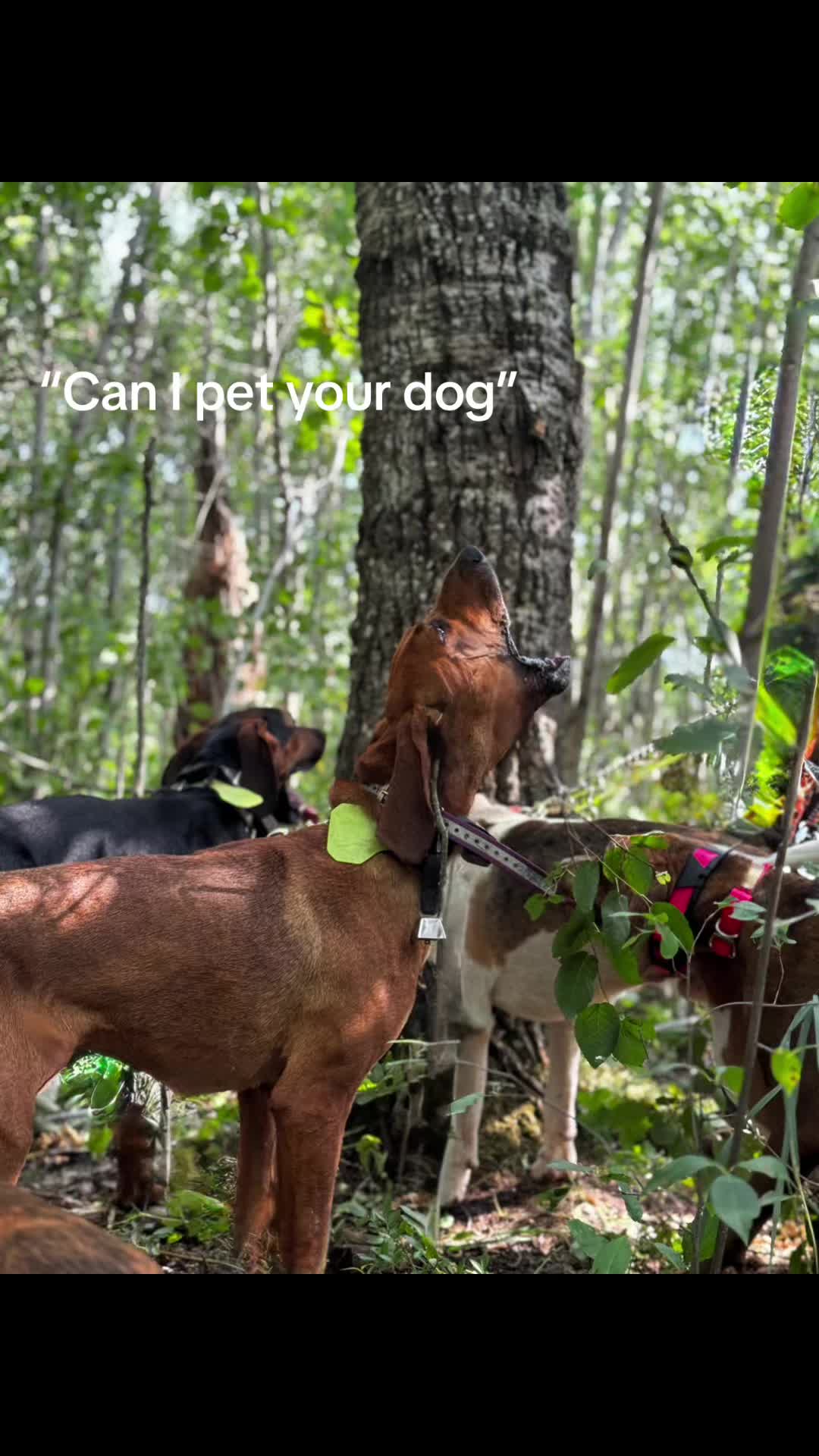 @Tri-County Outdoors