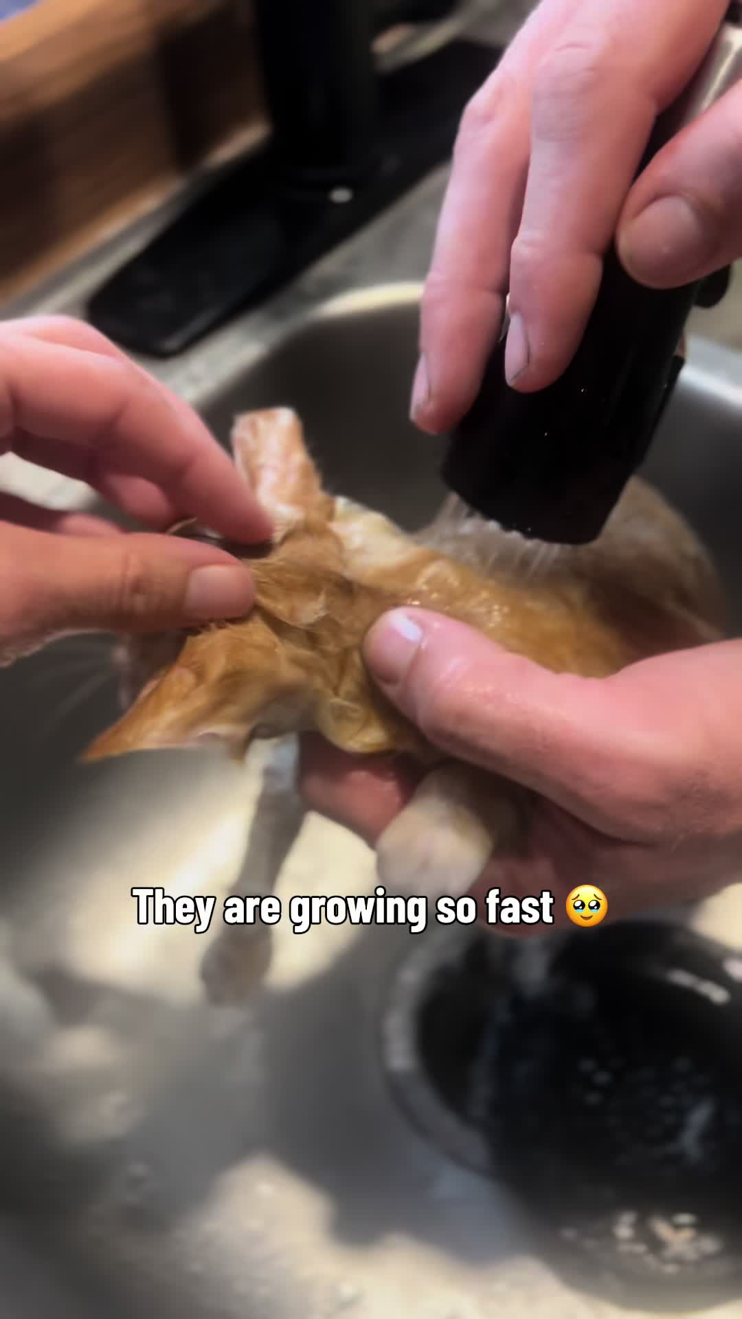 @Anesa 🤍