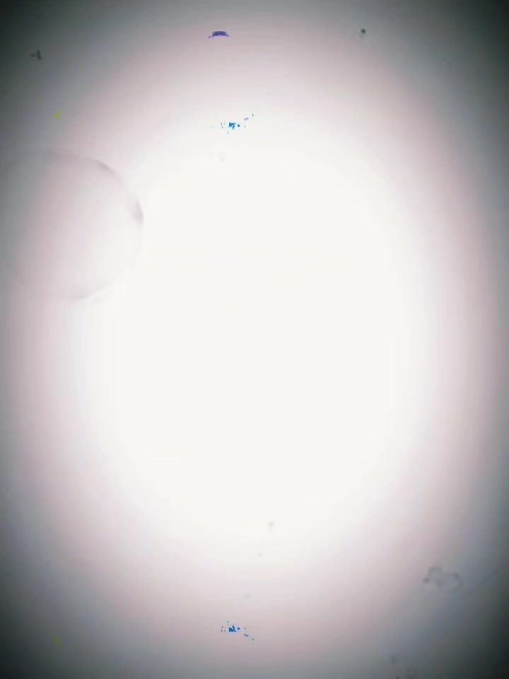 @যশোরের পোলা
