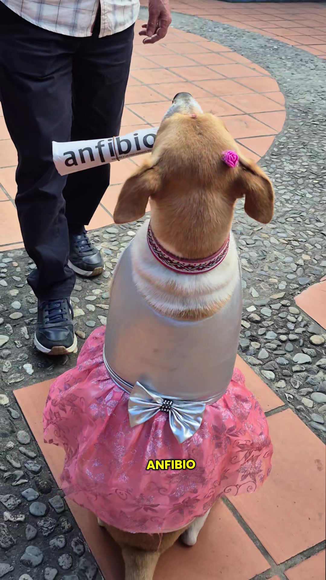@𝕀ℕ𝕊𝕋ℝ𝕌ℂ𝕋𝕆ℝ 𝕂𝟡 𝔼.ℂ