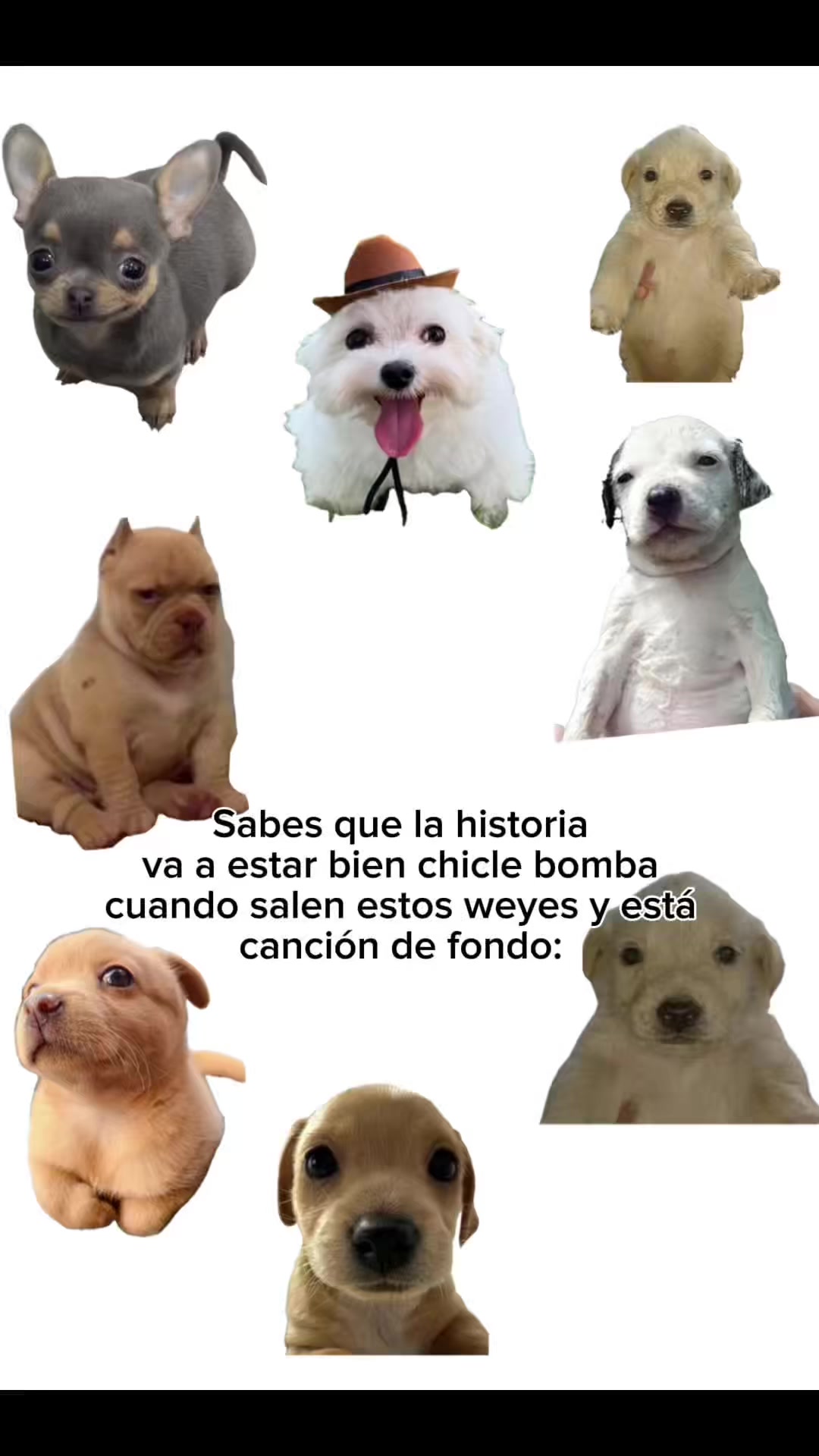 @snoopy_insanoxd