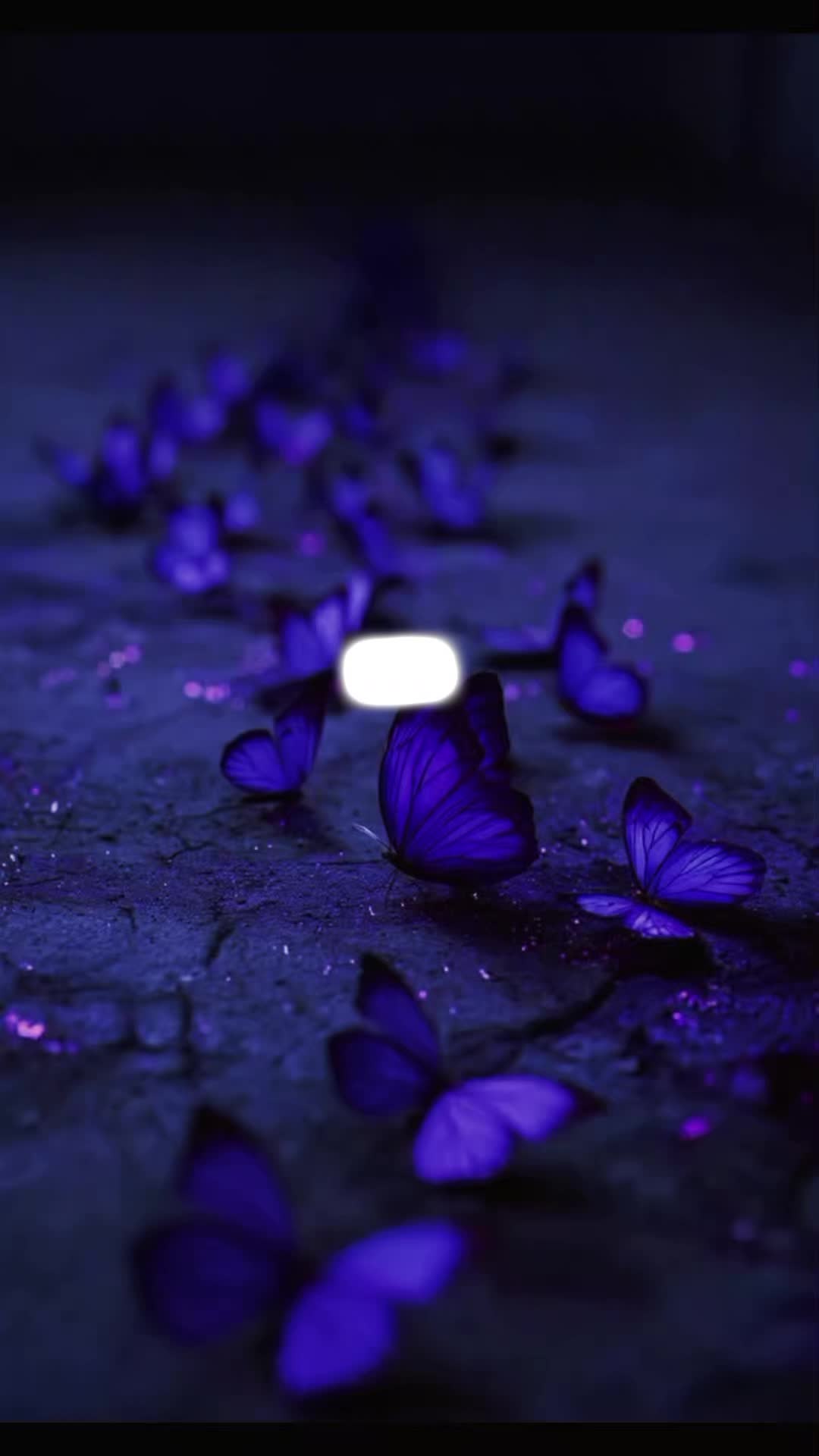 @мαяу