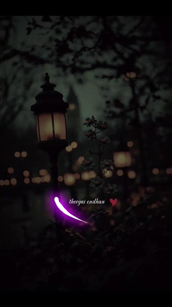 @▄︻デ𝑰𝒕𝒔__𝒎𝒆_ 🇭🇮══━一🦋✨