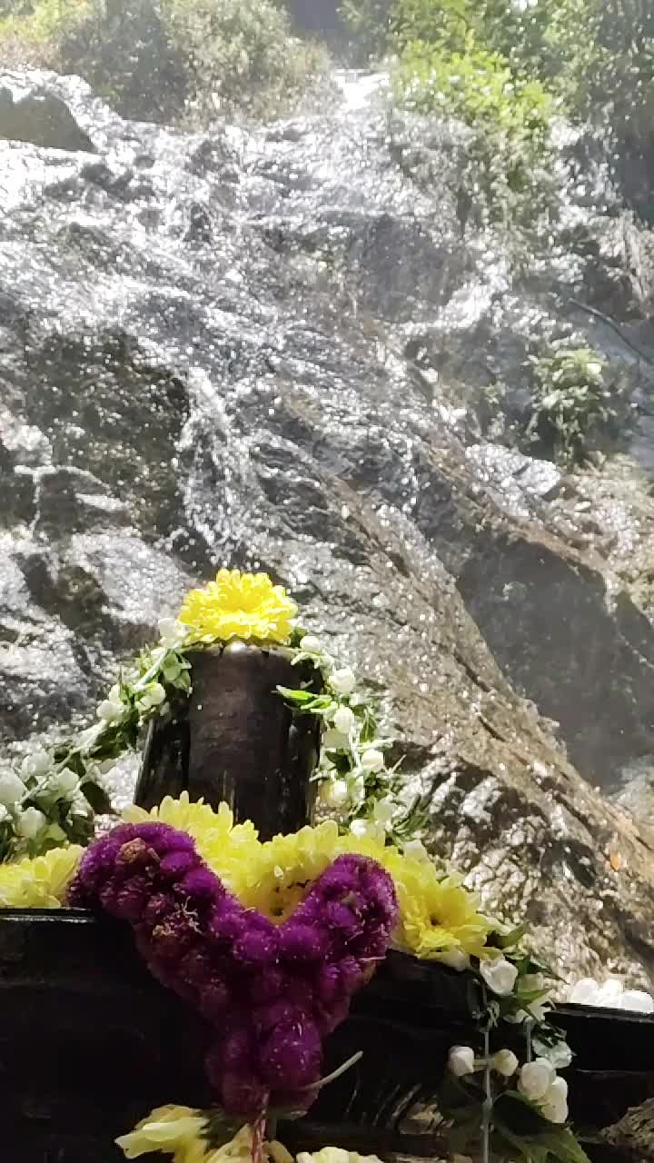 @Aura Flow Yoga🍃🧘