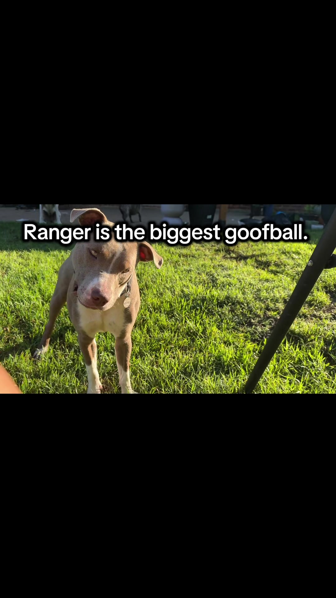 @3gents4everlittlelady