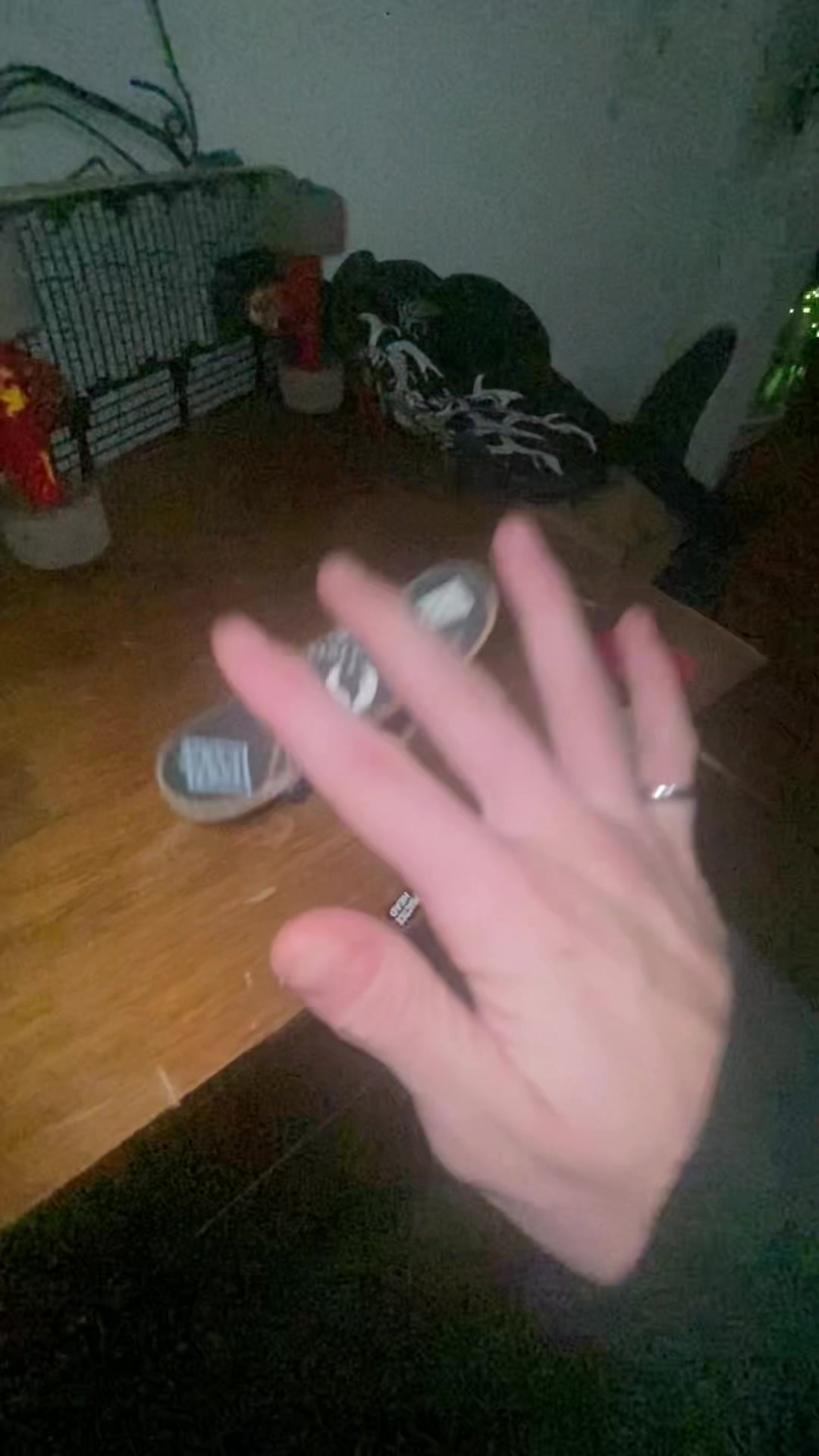 @Itsjustbridger.
