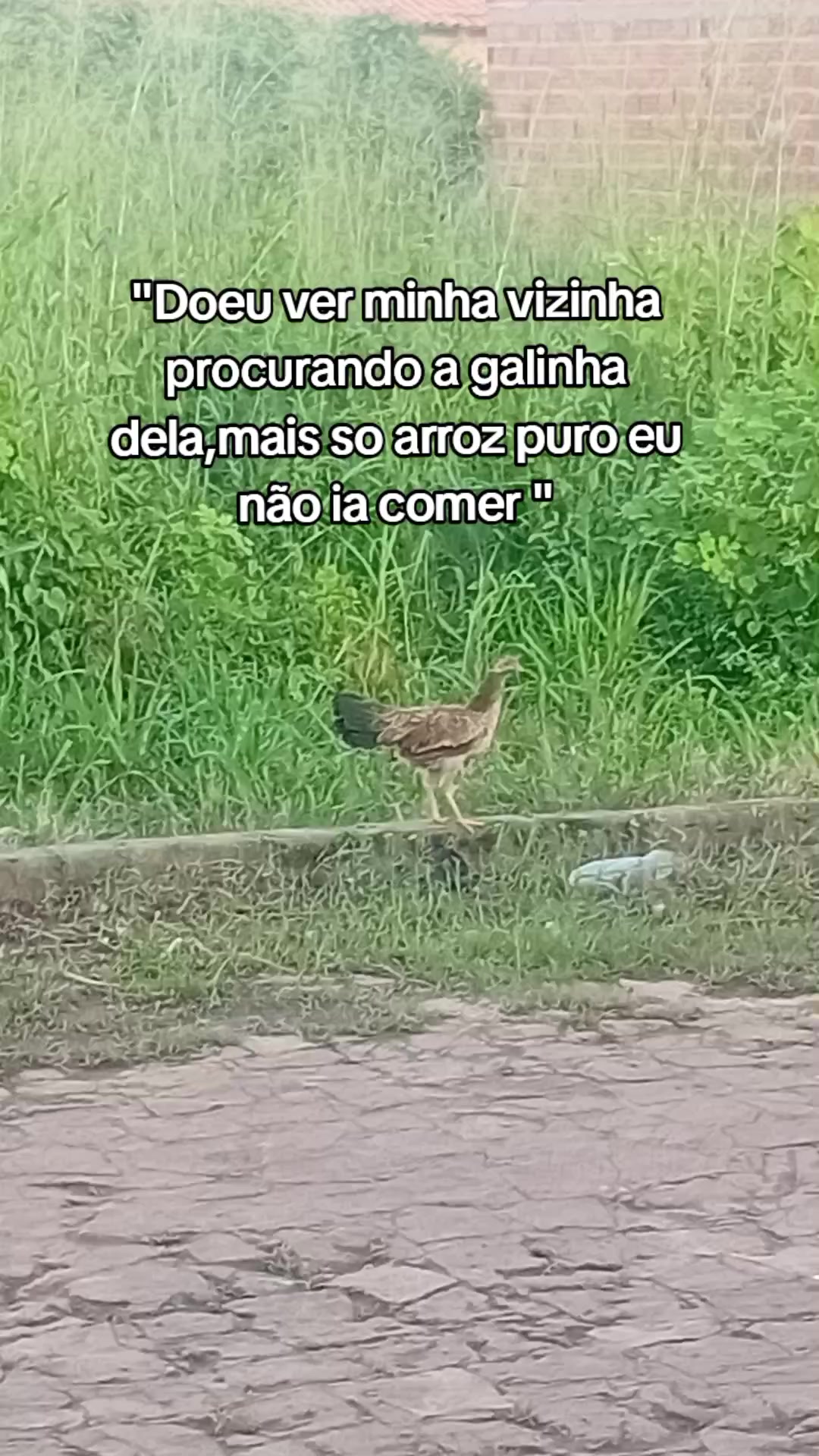 @🦋Maria Lima🌻