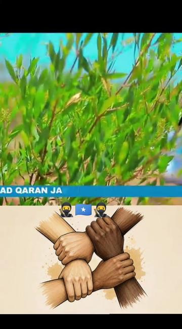 @CIISE GALMUDUG📸TV📺JAXAF JXAF
