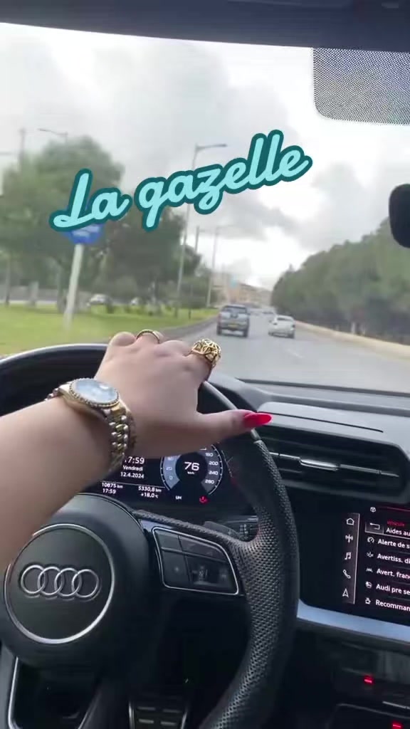 @Gazelle Eleulma