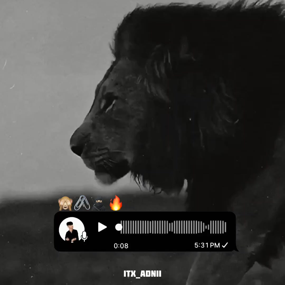 @𝙄𝙏𝙓_𝘼𝘿𝙉𝙄𝙄
