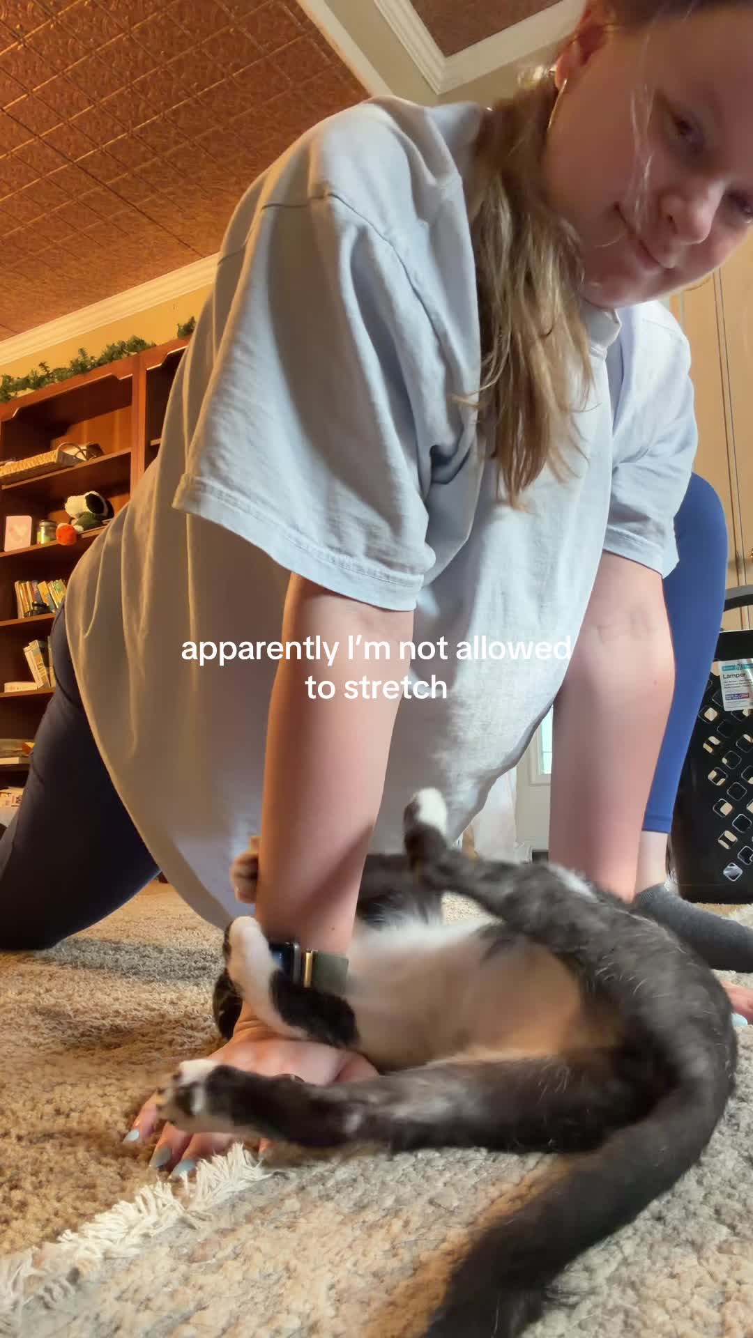 @bink the big orange cat