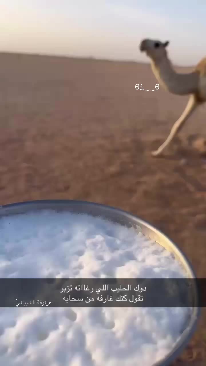 @᷂غرنوقه ᷂الشيبـاانيّ ♕.