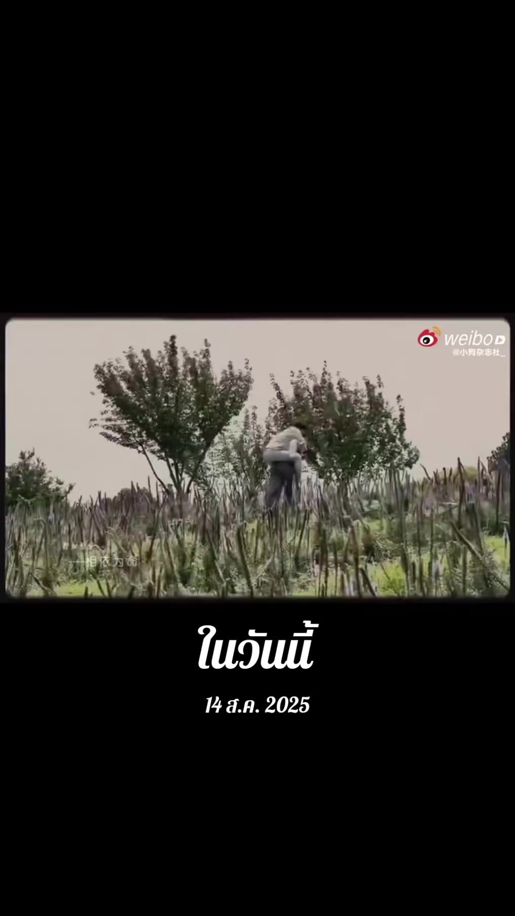 @จันทร์พิมพ์ สะราคำ