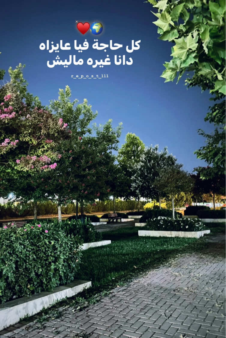 @𝐑𝐄𝐏𝐎𝐒𝐓ا🔁