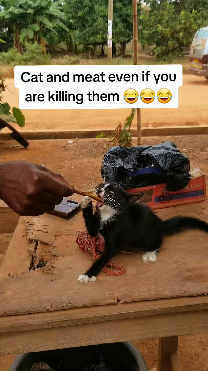 @djmarkygh