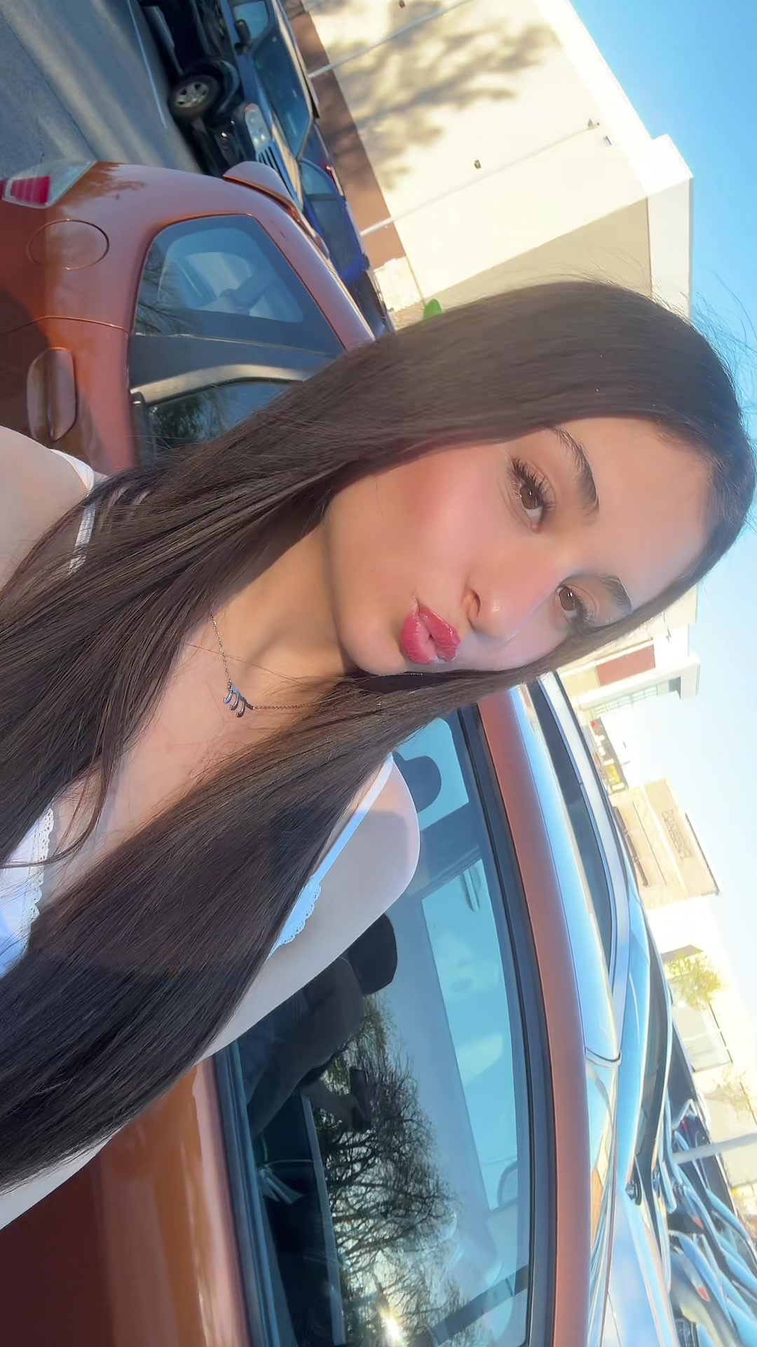@halay