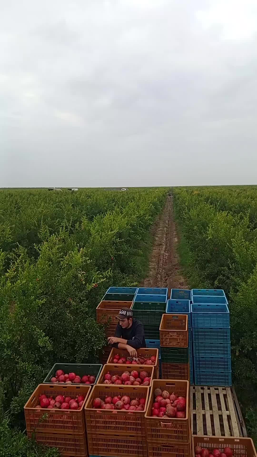 @Hilal Mehbalıyev