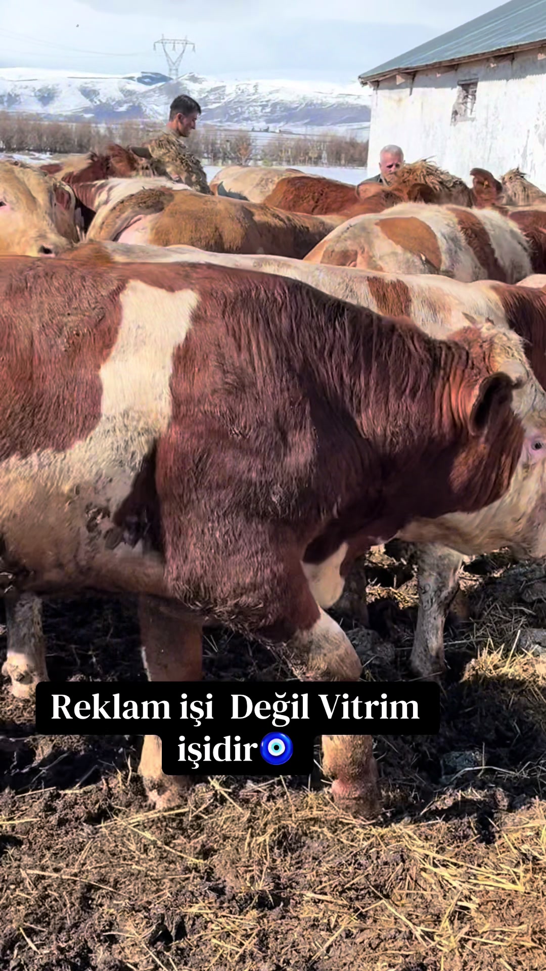 @BURKAY DEMİRBAŞ