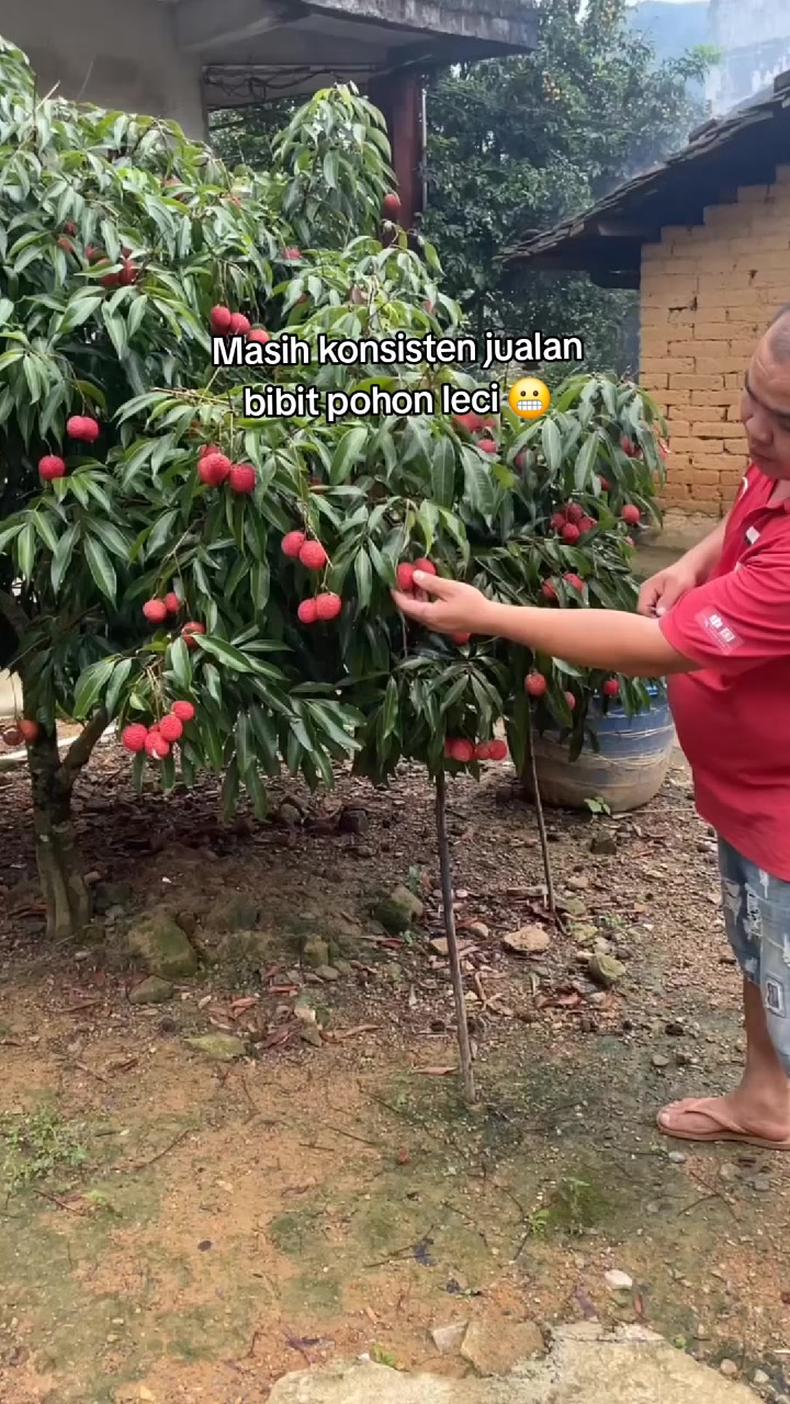 @cacaourell