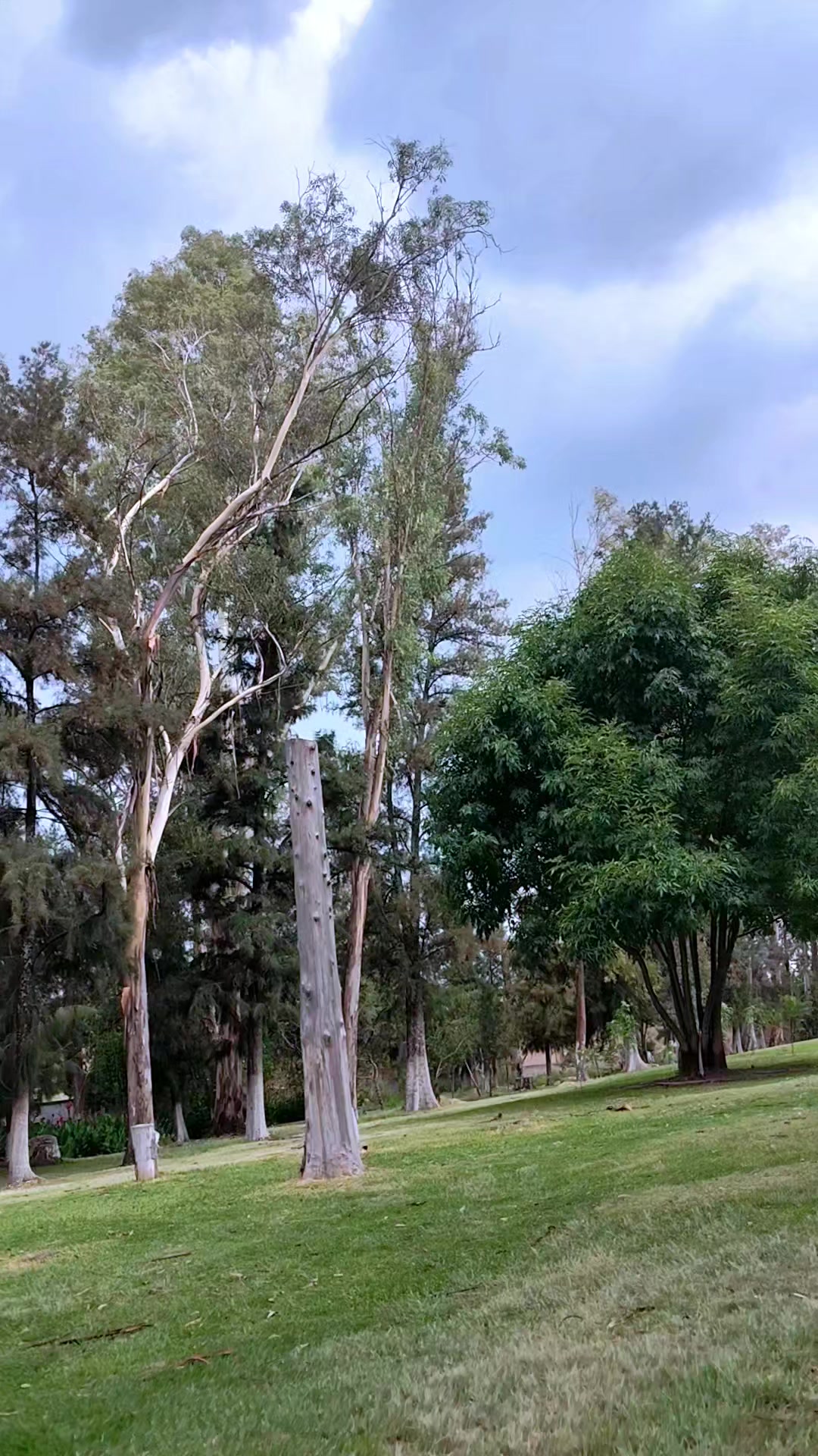 @chapiz payasita y payasita bor