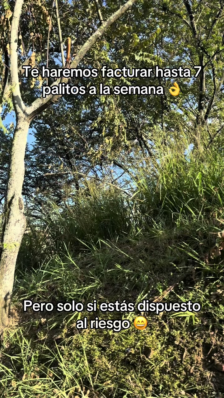 @Reyes 🚀
