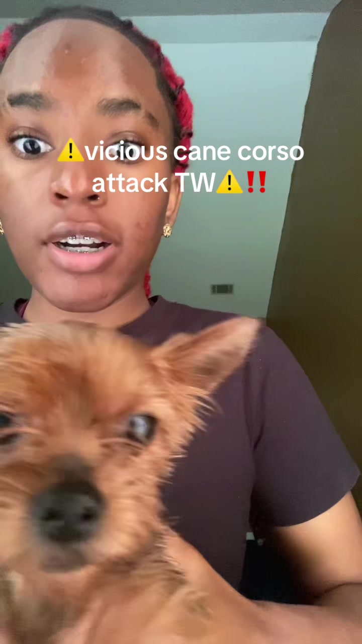 @chynxnextd0or_