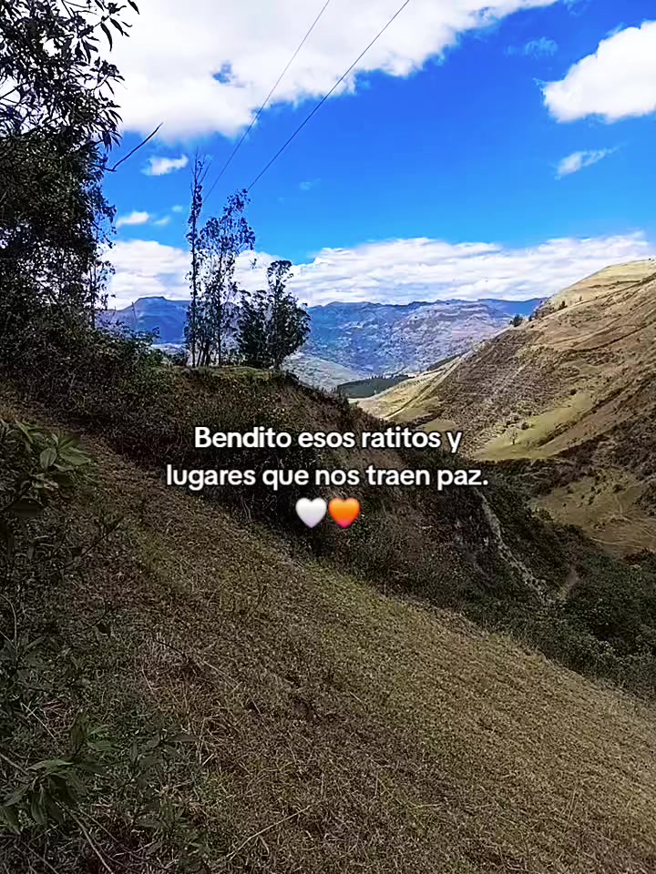 @belensita