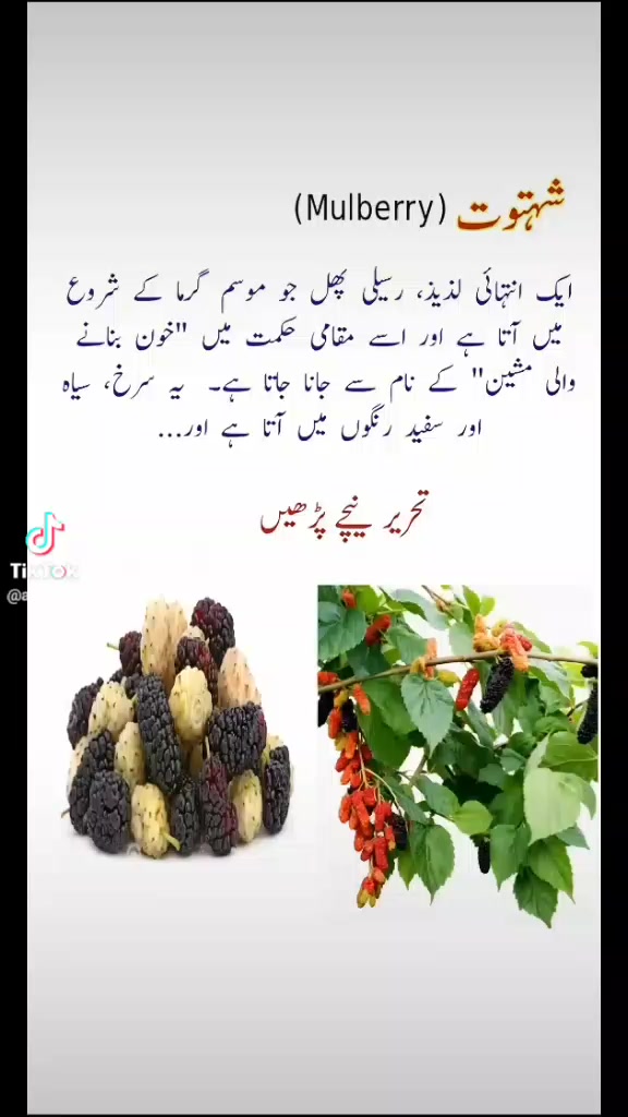 @M.JAVED ANSARI