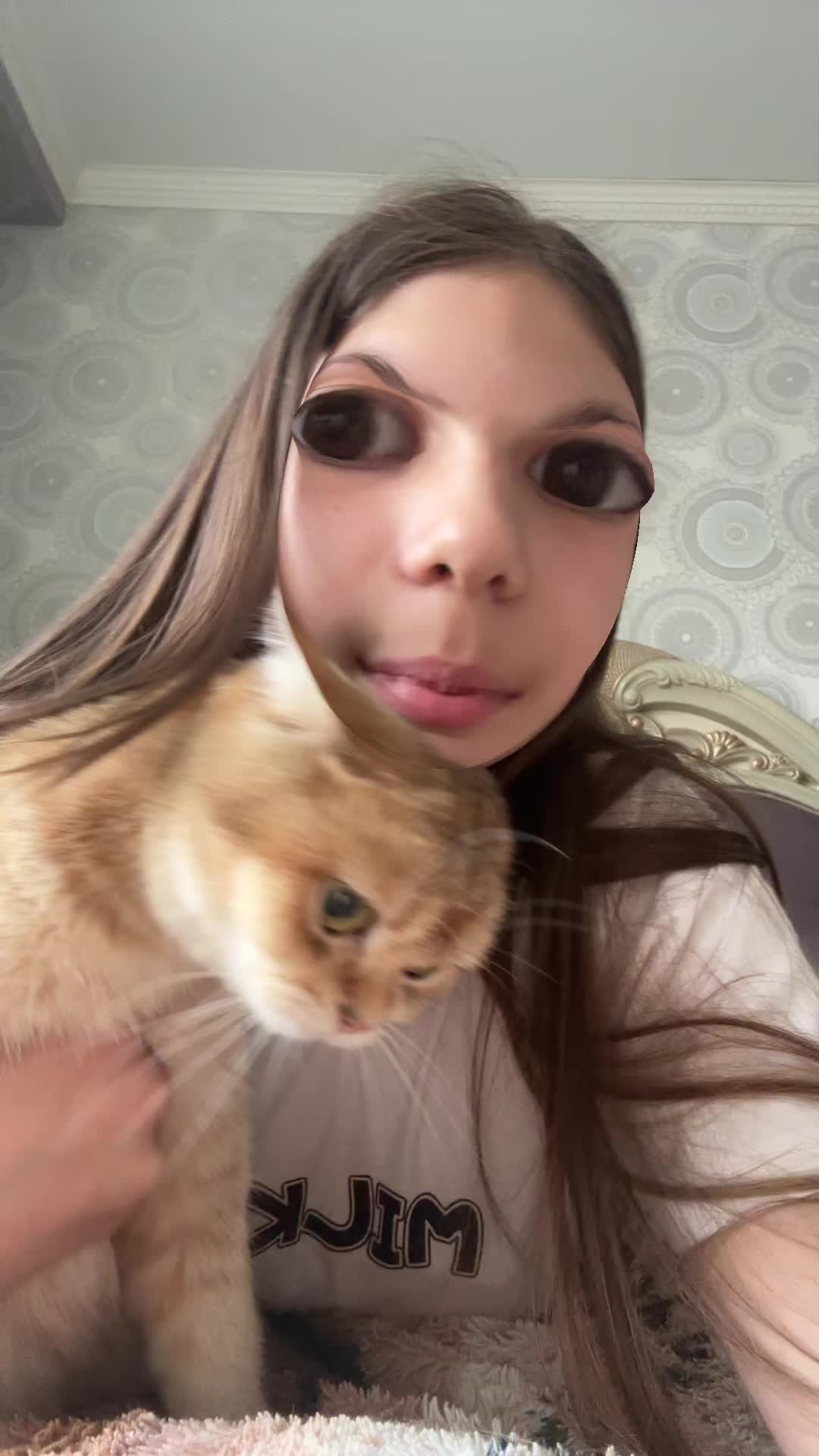 @Леонора😼😻