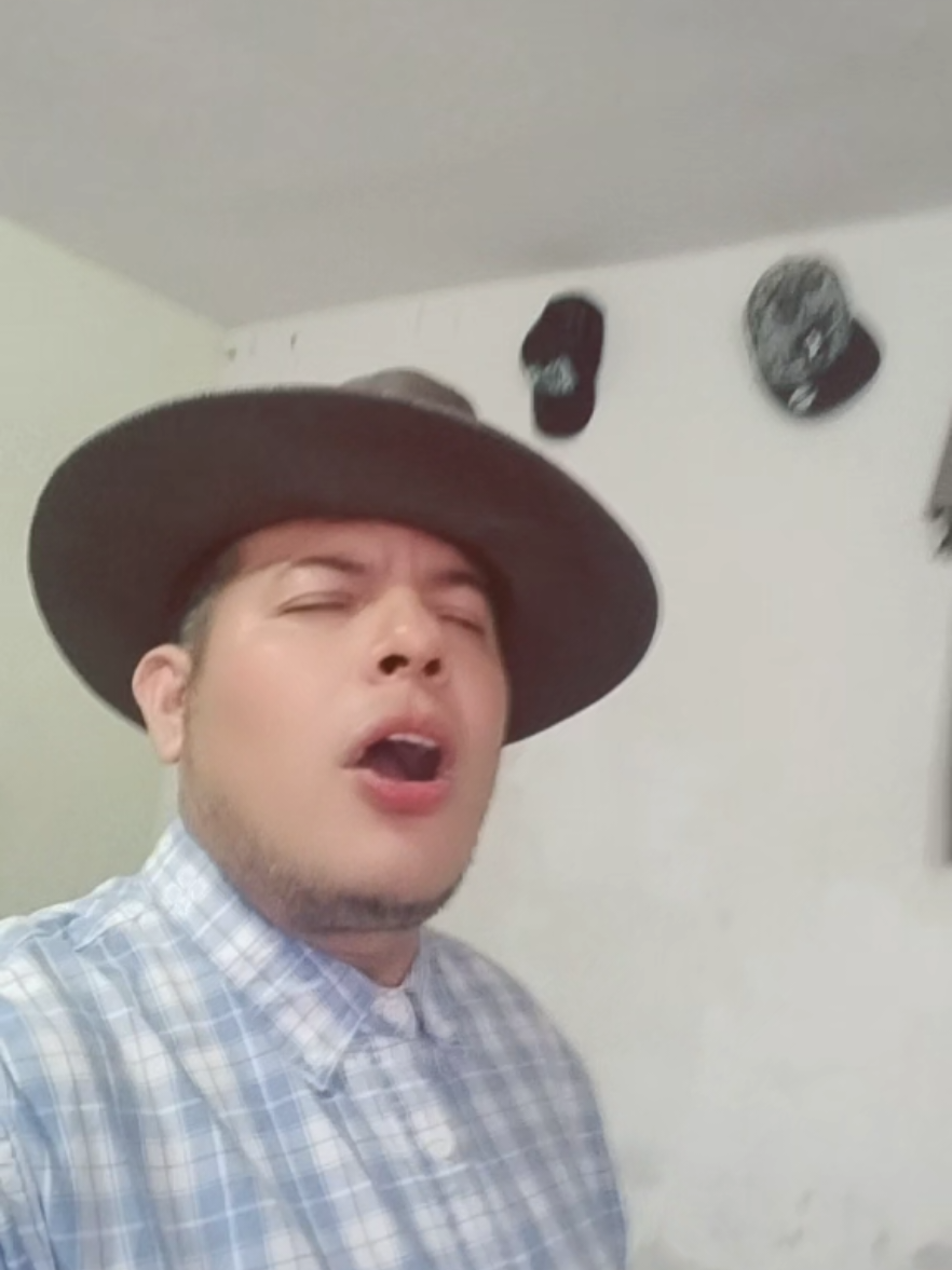 @luisito