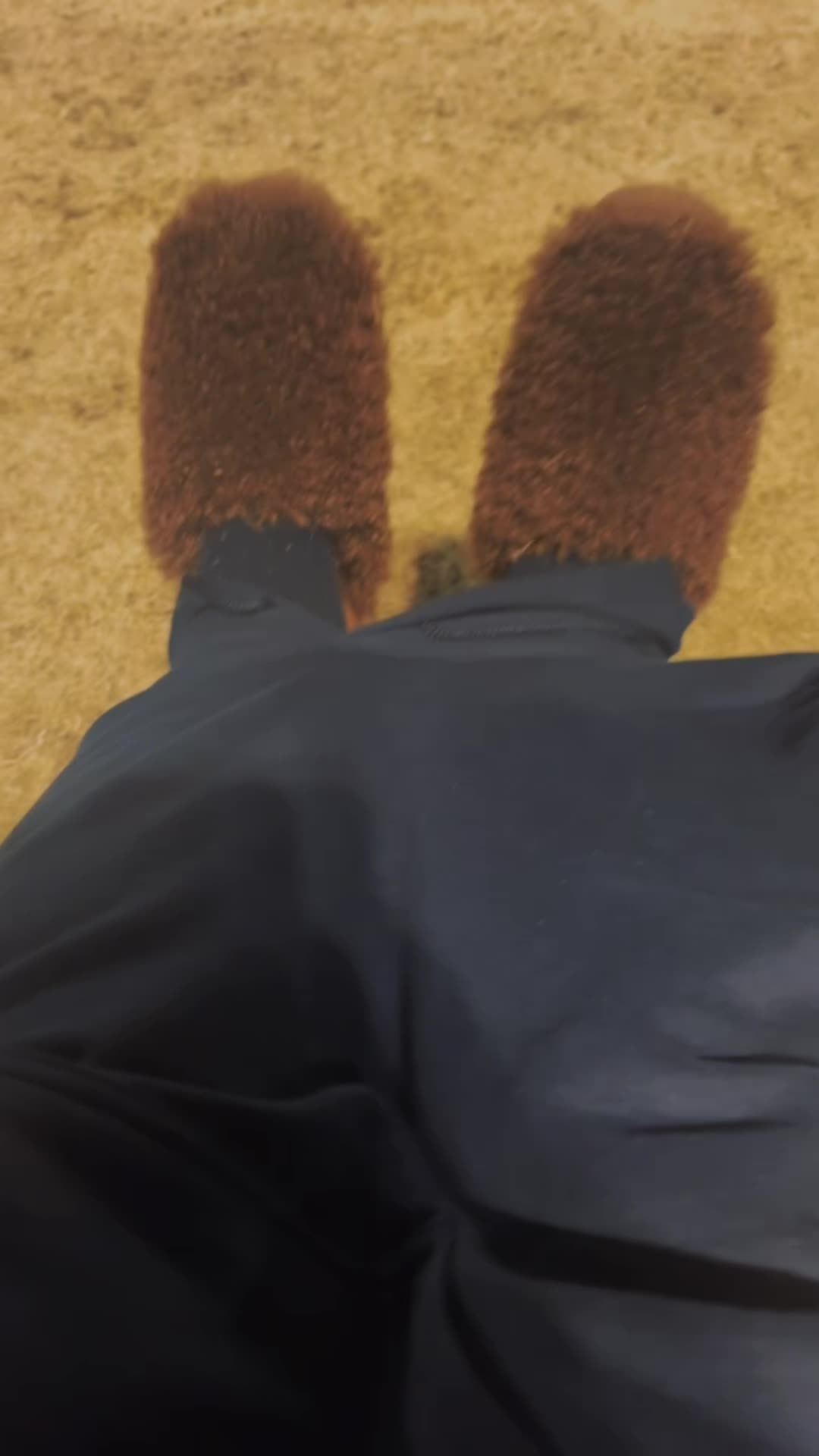 @Nikkibbby