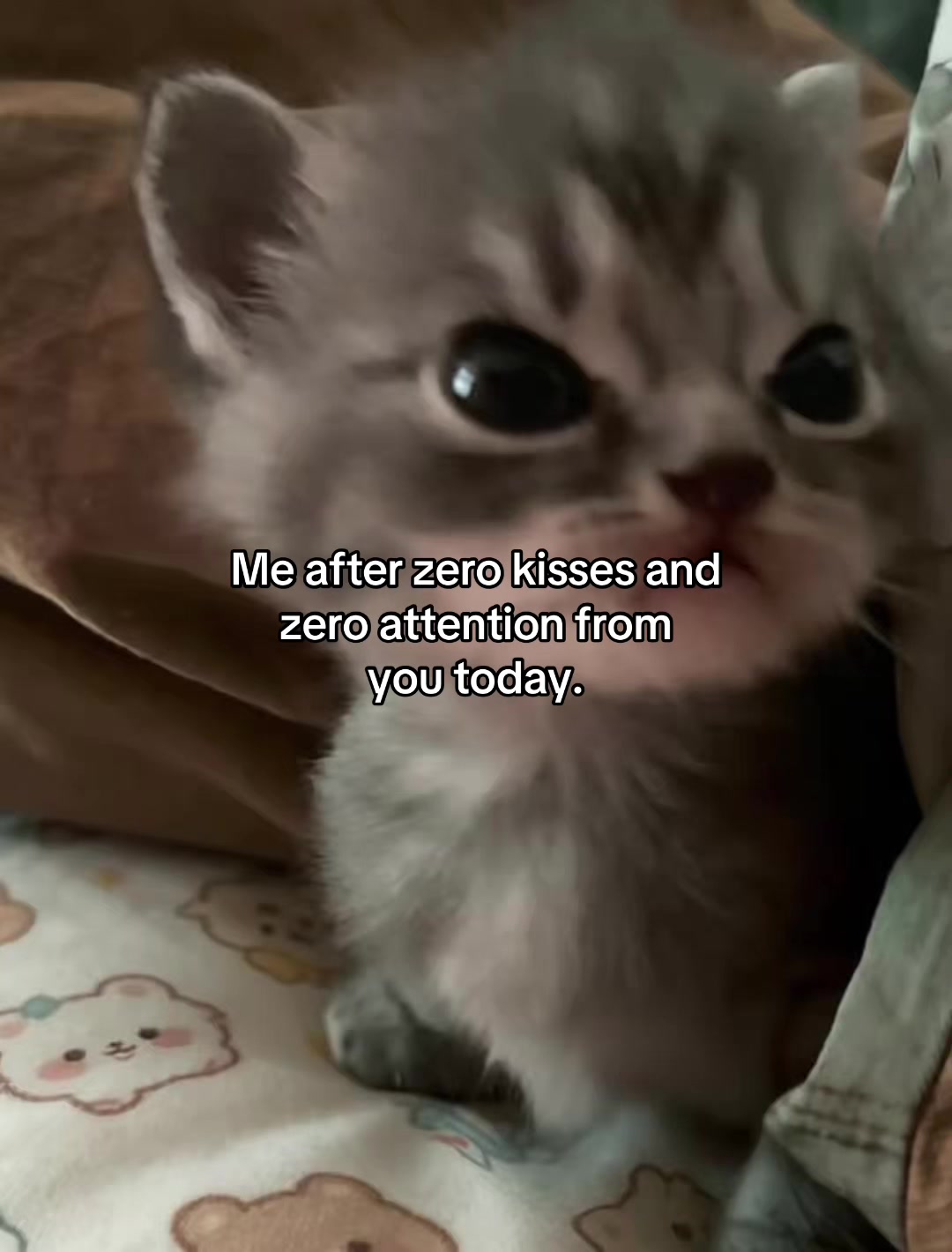 @Alice.cattok