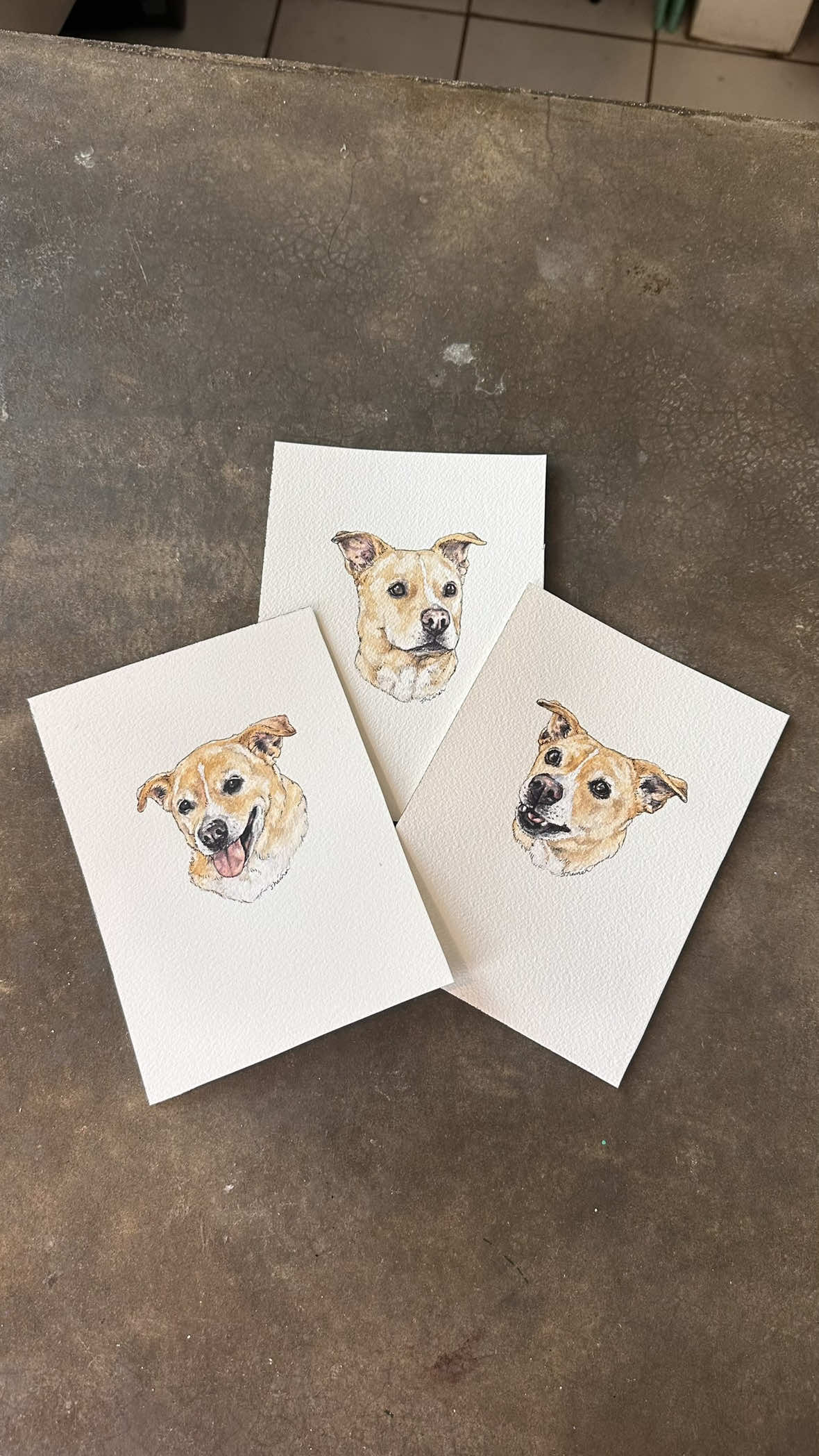 @Pet Portrait Artist