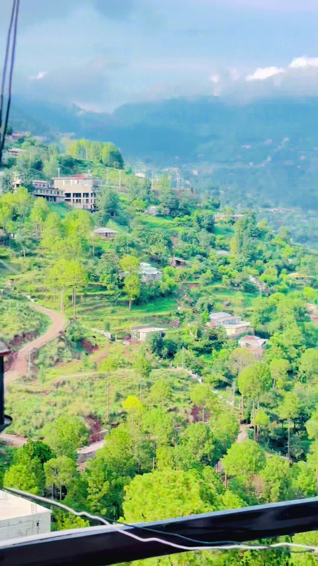 @وقاص روہی والا