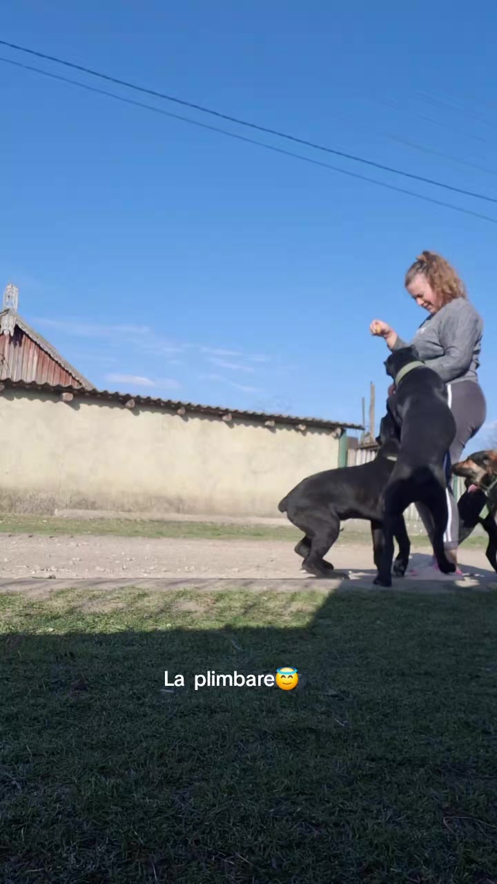 @zolusca