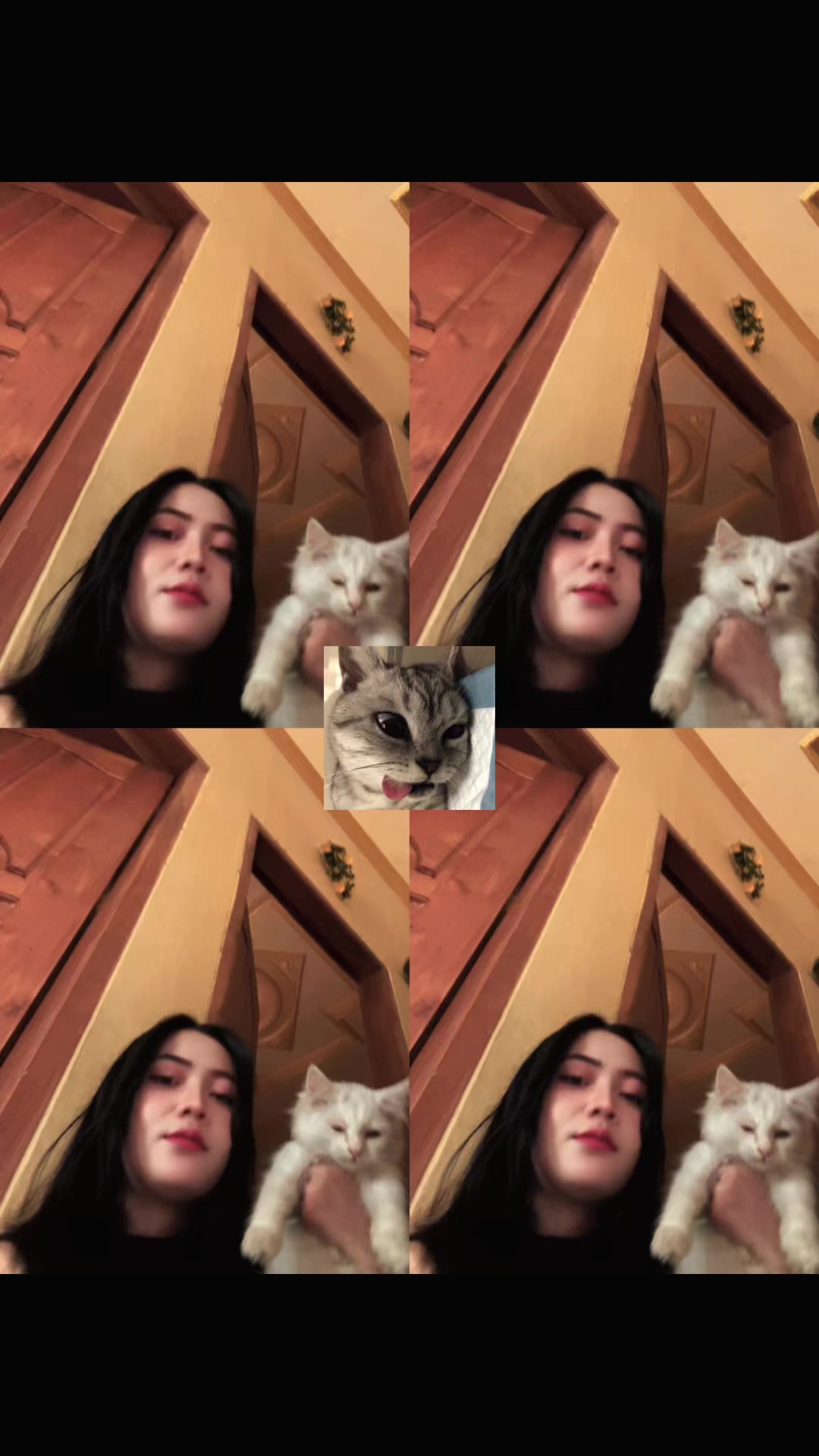 @wii_dwii26